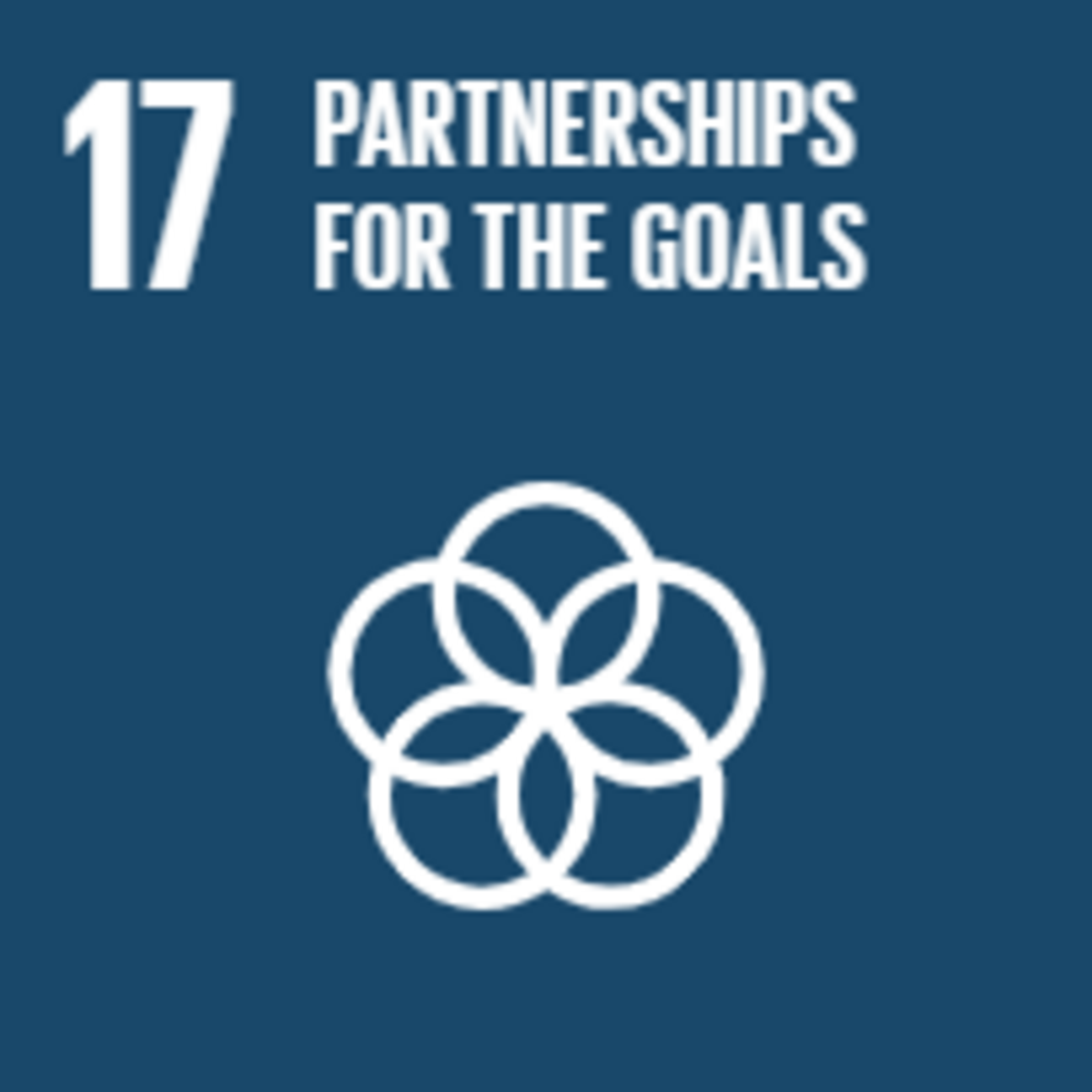 Partnership to achieve the goals