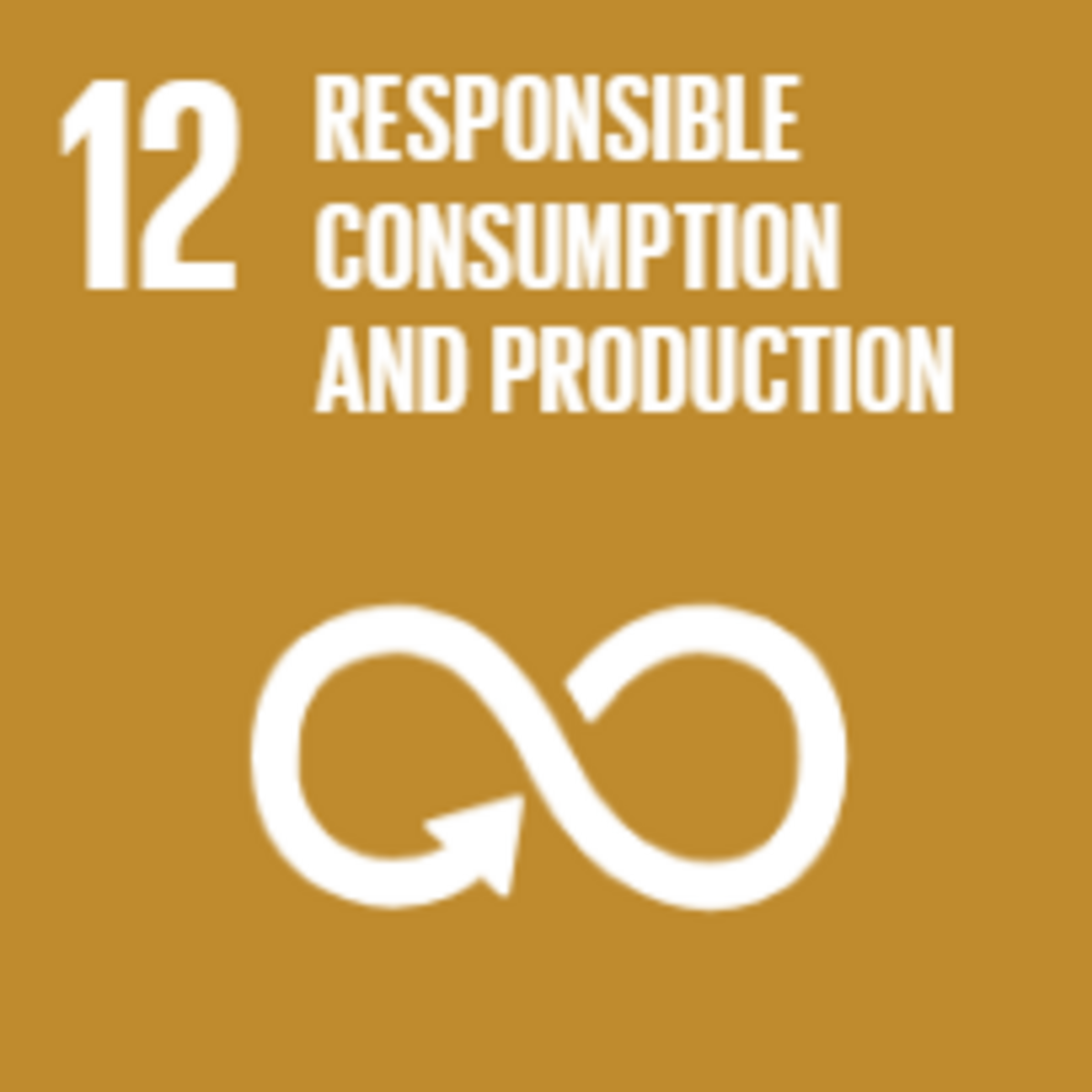 Sustainable consumption and production